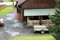 Bild-701