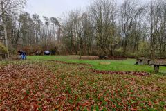 IMG_20211127_094114