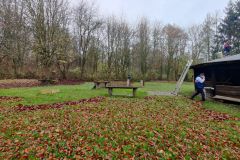 IMG_20211127_094117