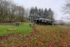 IMG_20211127_094234