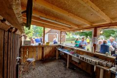 IMG_20220709_190745