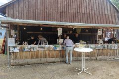 IMG_20220710_130959