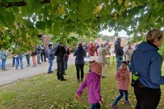 IMG_20221003_104804