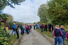 IMG_20221003_104824