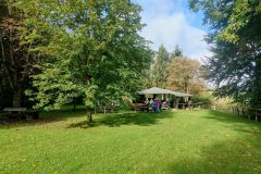 IMG_20221003_120512