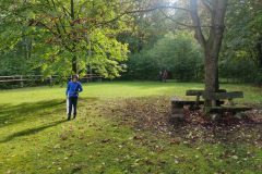 IMG_20221003_120627
