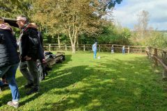 IMG_20221003_123334
